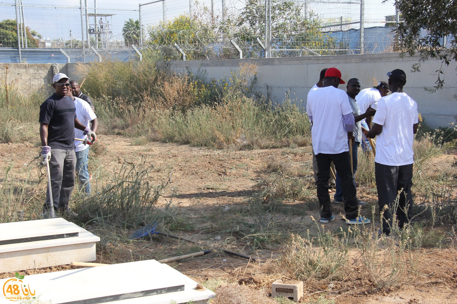 tasoo tandefet (7).jpg